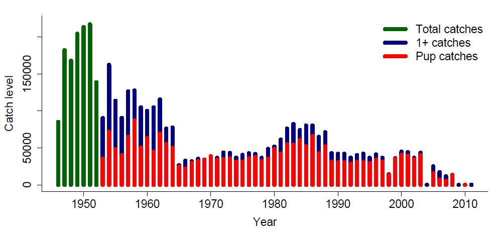 Totale årsfangster av grønlandssel (unger og 1+ dyr, i noen år er kun totaltallene tilgjengelige) i Østisen/Kvitsjøen i perioden 1946-2011.