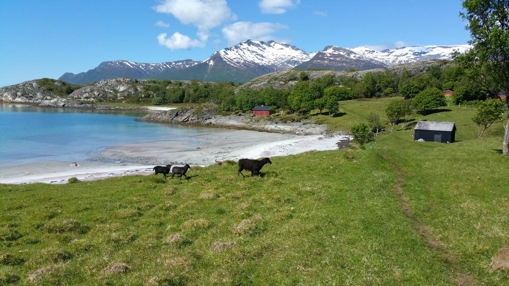 Hjartøya