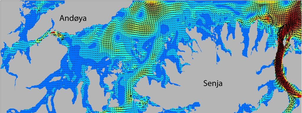 2.3 Oseanografiske data Oseanografiske data til bruk i modelleringen kommer fra SINTEFs 3D-havmodell SINMOD, som dekker kysten av Sør-Troms med en oppløsning på 160 x 160 meter.