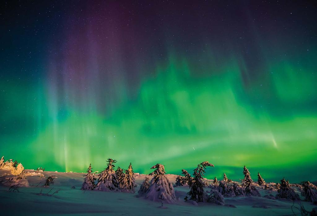 Foto: Ola Matsson Vinterstemning En flott, litt kald og skyfri vinterkveld i Fageråsen. Vi håper alle som besøker oss, som gjest eller eier av hytte eller leilighet får en fin vinter!