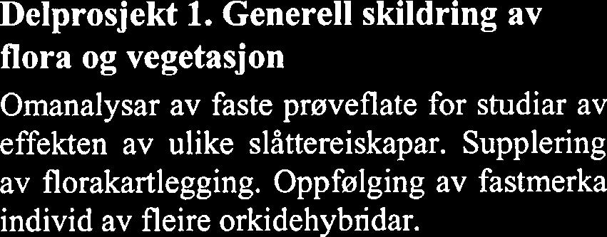 I tillegg hadde Trond Arnesen (HiST) to feitdagar på Sølendet i 2002 med omanalysar i bål (sjå delprosjekt 5) og studentekskursjon (sjå