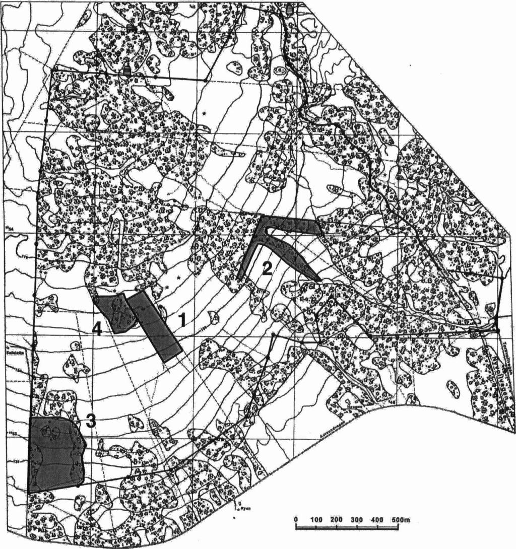 Figur 7. Planlagd skjøtsel i 2003. Slått og raking i alle område. 1: Intensivområdet i vest, ca. 35 daa.