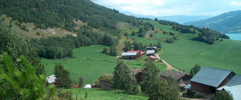 Helhetlige landskap Større helhetlige landskaper faller utenfor naturtypebegrepet. Noen slike helhetlige landskap typiske for Oppland, og som fylket har et spesielt forvaltningsansvar.