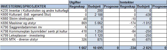 Oversikten gir et bilde av påløpte utgifter og bokførte inntekter.