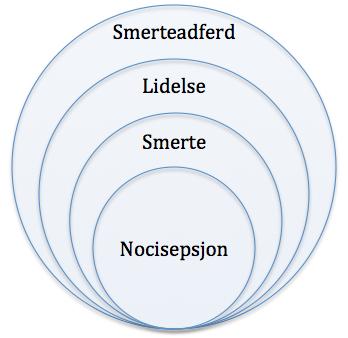 Figur 1. Elementene i modellen er tett knyttet til hverandre.