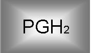 16 Figur 2: Metabolisme av PGE 2. Omdannelsen av PGH 2 til PGE 2 katalyseres blant annet av enzymet mikrosomal prostaglandin E syntase-1.