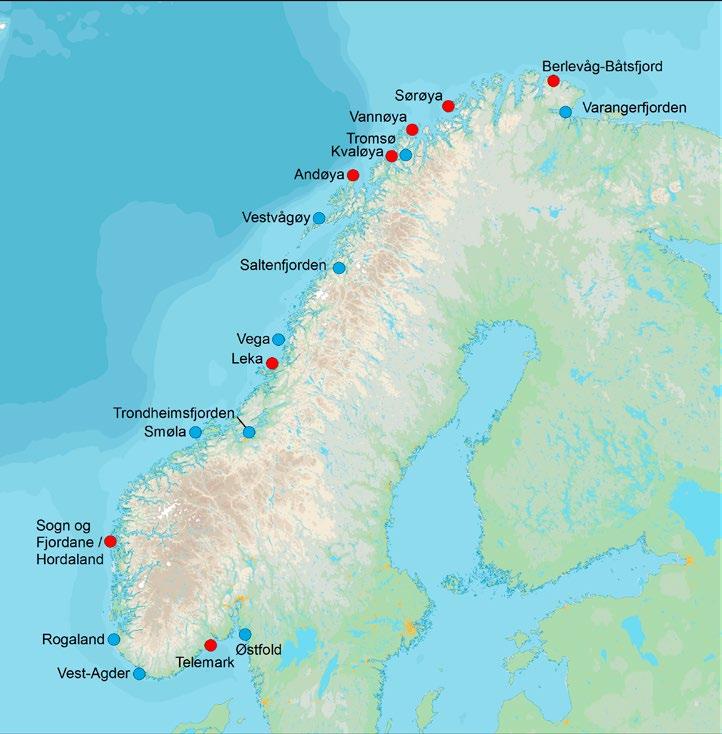 Utviklingen for overvintrende sjøfugler på fastlandet Siden tidlig på 1980-tallet er overvintrende sjøfugl overvåket årlig i ti faste områder spredt langs hele kysten; fra Østfold i sørøst til