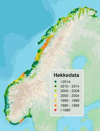 Kartlegging av hekkende sjøfugl på fastlandet I 2017 skal sjøfuglenes hekkebestander i store deler av områdene sør for Lofoten kartlegges.