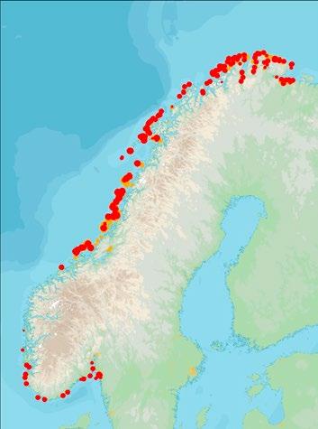 Begrensninger Selv om mange områder sør for Lofoten er kartlagt etter oppstarten av SEAPOP, er ikke alltid kravene til en totalkartlegging oppfylt.