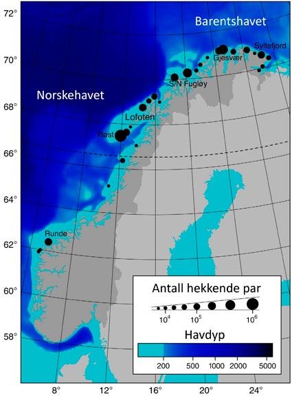 Opptellinger av hvordan partiklene fordelte seg i hekketiden for sjøfugl ble så sammenlignet med nærheten til de store fuglefjellene langs kysten.