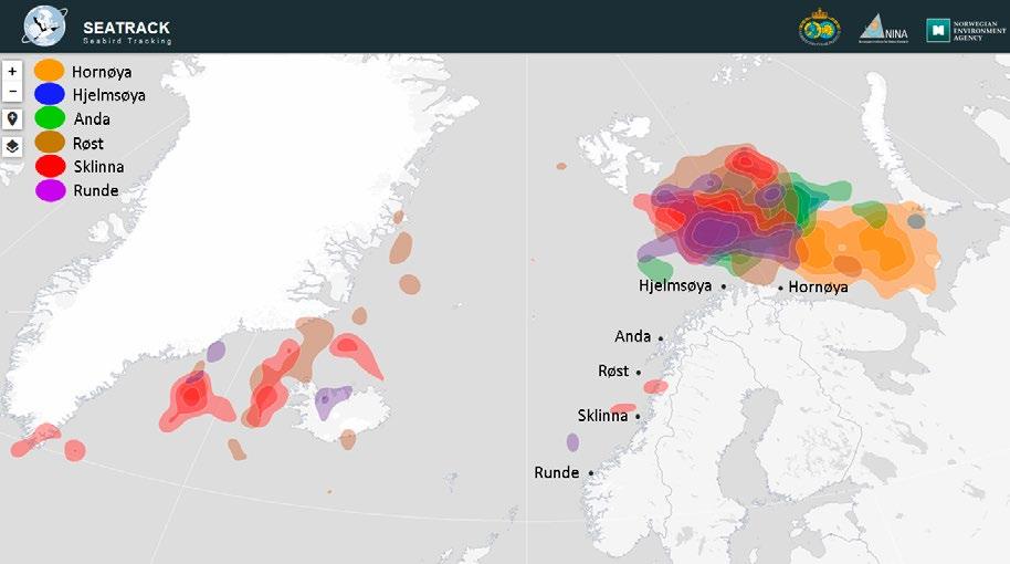 Høstutbredelsen (august - oktober) til lunde fra seks norske kolonier angitt med kernel-felter med ulike farger for hver koloni.