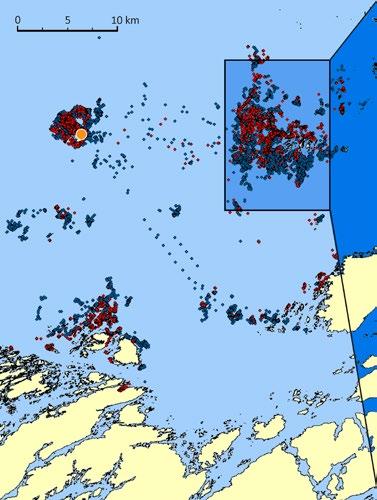 Identifisering av sjøfuglers leveområder i 3D De kystnære områdene langs norskekysten er svært produktive, med et høyt mangfold av marine dyr og planter.