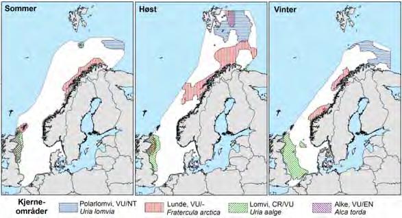 Figur D - 2 Kjerneområdene til alkefugl og pelagisk overflatebeitende sjøfugl oppført i den norske rødlista (Fauchald, 2011).