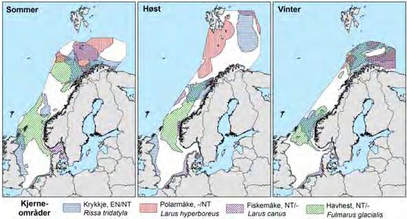 Bustnes, 1999). For de pelagiske artene er utbredelsen av næringsemner i stor grad styrt av oseanografiske forhold som frontområder, strøm, temperatur, saltholdighet og utbredelsen av iskanten.