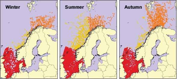 Pelagisk sjøfugl Data er blitt samlet inn etter standard metode for linjetransekter (Tasker et al.1984). Fuglene ble telt fra 6-10 m over havoverflaten under en konstant fart av ca. 20 km/t.