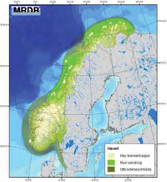 Figur D - 18 Utbredelse av havert i nordiske farvann (DN & HI, 2007; MRDB, 2010).
