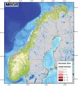 Figur D - 19 Utbredelse av oter i Norge (MRDB, 2010). Strandhabitat I foreliggende rapport er det gjennomført en skadebasert analyse for strand i henhold til MIRAmetoden (se Vedlegg 2).