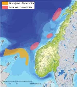 nordøst atlantisk torsk og hyse