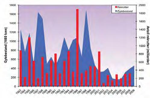 Figur D - 24 Gytebestand og antall rekrutter av