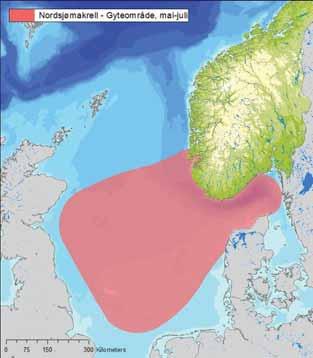 Figur D - 25 Gyteområde for Nordsjømakrell. Plankton Planteplankton Planteplankton er mikroskopiske, encellede organismer som svever fritt rundt i vannmassene.