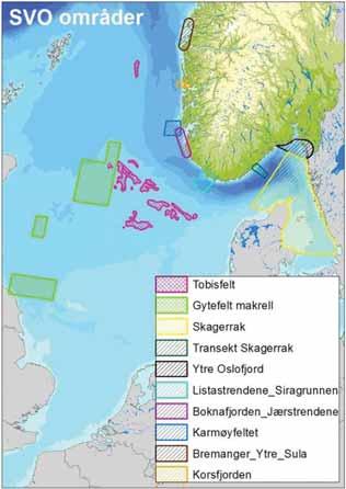 Figur D - 26 Særlig verdifulle områder (SVO) i Nordsjøen (DN & HI, 2010). Tabell D - 3 Særlig verdifulle områder (SVO) i Nordsjøen med kriterier for prioritering.