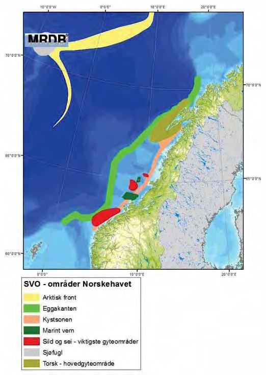 at området er et nøkkelområde for norske ansvarsarter, at området har viktige nasjonale eller internasjonale bestander av enkelte arter i hele eller deler av året (HI, DN,