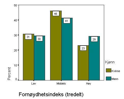 Menn ser ut til å være noe mer fornøyd enn kvinner ifølge