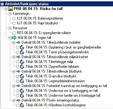 utarbeidet, var tanken at tiltakene skulle være knyttet til et konkret, operasjonalisert mål, slik at det var enkelt å forstå hva pasienten skulle oppnå med de ulike tiltakene.