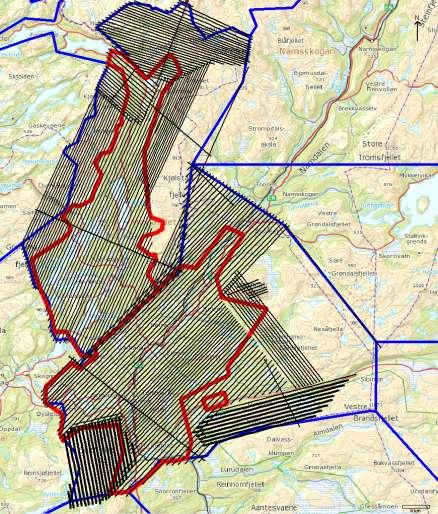 dekket(svart skravur) fra årets skanning Må bestille