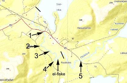 Figur 2.2. Kart over Oldelva, Bjugn. Svarte streker viser grense for utbredelse av muslinger.
