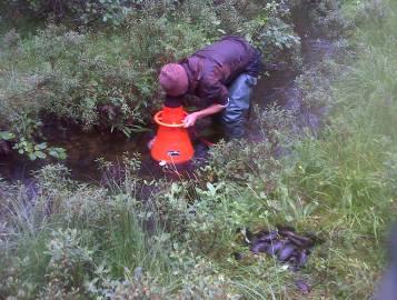 5. Eksetelva, Rissa 10 N=54 Eksetelva kommer fra to innsjøer; Tørstadvatnet og Vålvatnet. Utløpselva fra hver av innsjøene er ca. 0.5 km lange før de løper sammen til Eksetelva (ca.