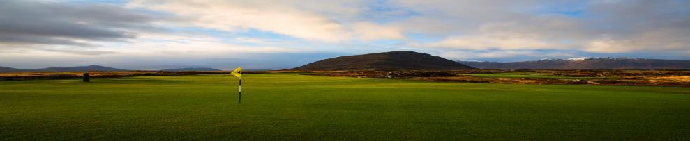 MØTEPLAN 2017 04.12.2016 Samarbeid og evalueringsmøte med Lofoten Golfbane as 14.02.2017 Styremøte Vi ser på regnskap 2016 og budsjett 2017 Utvidet med alle komiteer og varamedlemmer 28.02.2017 Styremøte Forberedelser til årsmøte 2017.