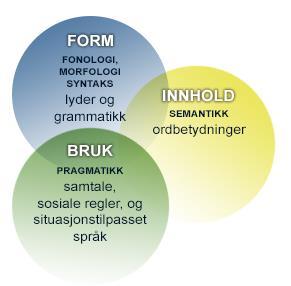 1.0 SPRÅK OG ORDFORRÅD En forutsetning for en vellykket leseinnlæring er at elevene kan begrepene for de ordene som skal læres.