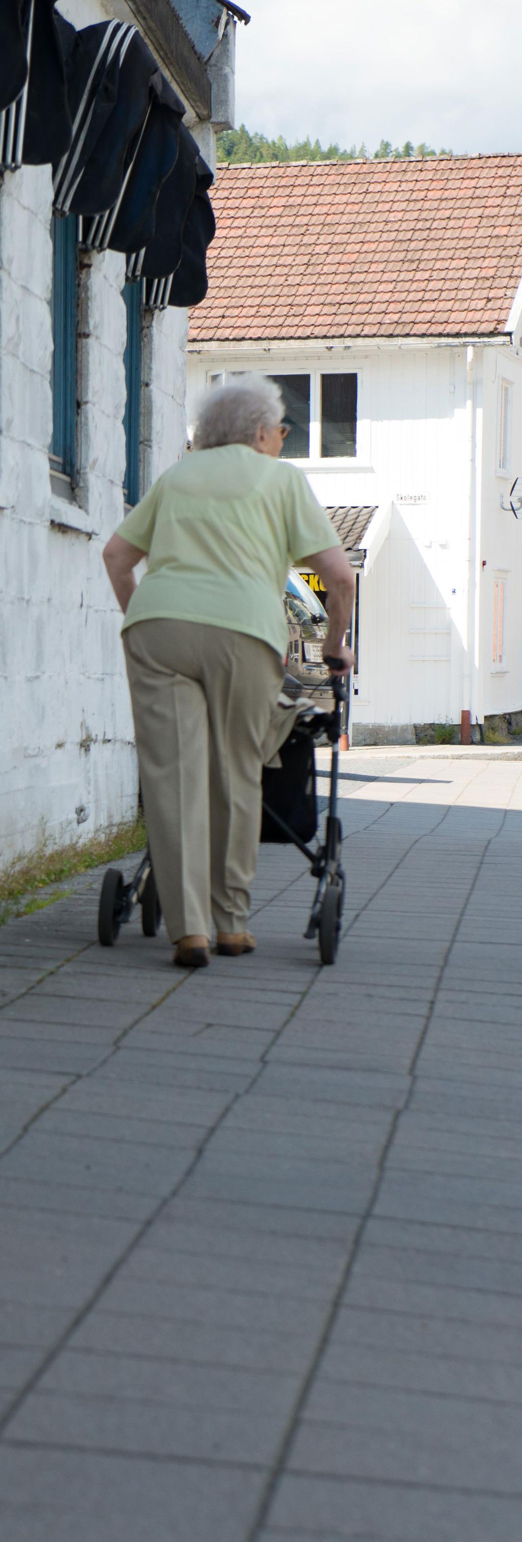 Rehabilitering og opptrening Habilitering- og rehabiliteringstilbudet i kommunene Fylkesmannen i Buskerud 61 Habilitering og rehabilitering er et viktig satsingsområde for regjeringen Solberg, og var