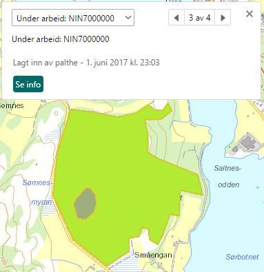 7. Etterarbeid i NiNapp web Validering og godkjenning av kartlagte områder er den mest sentrale funksjonaliteten med tanke på etterarbeid i NiNapp web.