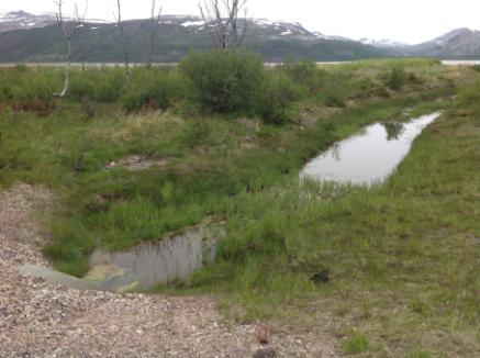 Konklusjonen er at vannforekomsten Bonakasbekken ikke er påvirket av avrenning fra nedlagt kommunal avfallsfylling.