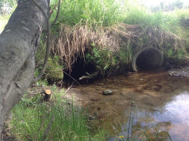 Vannstand i Vuopmanjohka, Hillagurra (juni 2013). For økologisk tilstand viser forsuringsparametrene og næringsforhold svært god tilstand.