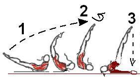 Kroppsvansker med rotasjon med verdi mer enn 0,1 p. (for eksempel hopp/sprang og rotasjoner med 180 vending) kan benyttes i utkast og/eller fanging.