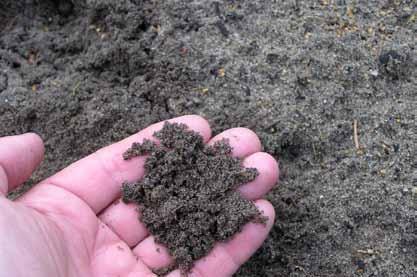 Dressing med sand som har et høyt innhold av organisk materiale er den beste måten å øke fuktigheten i tørre flekker som er vanskelige å etablere. God kompost er utmerket, men vanskelig å få tak i.