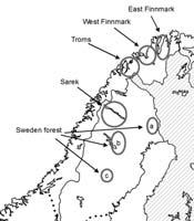 drapstakt på rein basert på 128