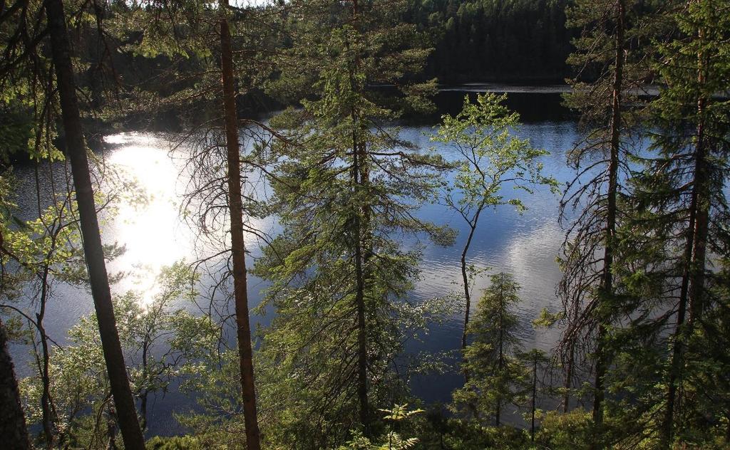 Skogbrukssaker Kommunen har i 2015 vedtatt fire tillatelser til landbrukstiltak gjennom markaloven.