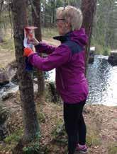 At det er så stor deltakelse hvert år, gjør at mange får variasjon i turene sine og kommer ut til nye deler av marka.