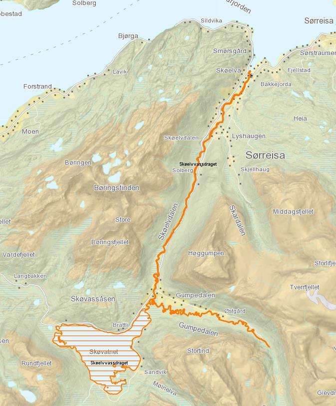 Skøelva Siden drivtellinger gjennom flere år har vist høye innslag av oppdrettslaks i elva gjennomførte vi harpunjakt, på strekningen nedstrøms fisketrappa, 16.