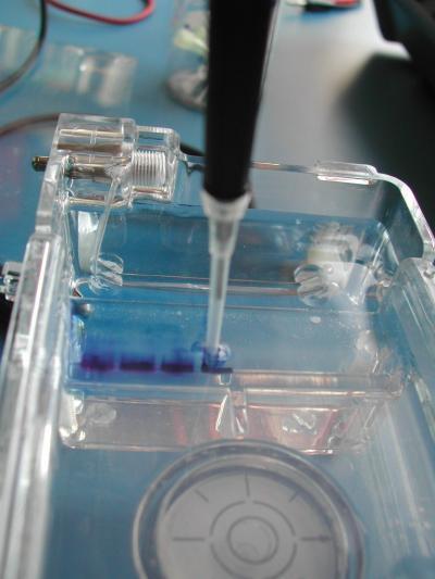 DNA prosessering og sekvensering DNA ekstraksjon Powerwater DNA isolation kit (MoBio) Amplicon