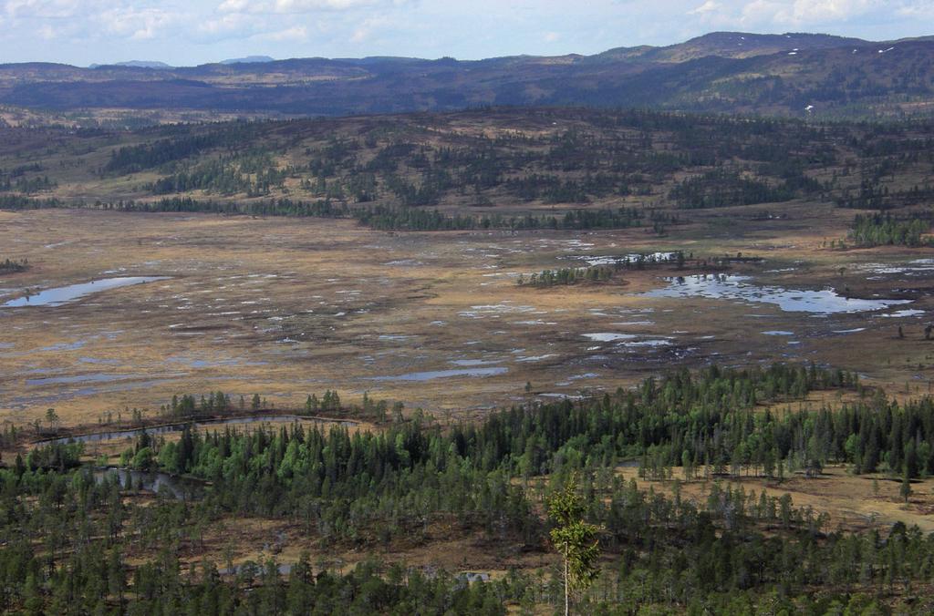 Per Gustav Thingstad Zoologisk notat 2011-4 Ornitologisk statusrapport fra Øvre Forra etter