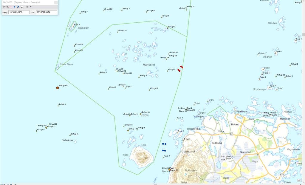 Fig. 4 Telling av mytende (fjærskiftende) Ærfugl i 2015. Lokaliteten Hysværet markert med røde hjørnepunkt, lokaliteten Rørskjæran er markert med blå hjørnepunkt.