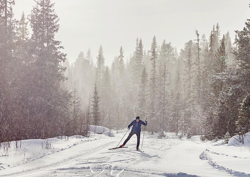 / XC HATS XC Thermal Hat -Lett og elastisk lue -Børstet innside -Egnet til høyintensitetstrening, eller de varmere dagene i skisporet Unisex 1903976 Pris 199 kr XC Thermal Headband -Lett og elastisk