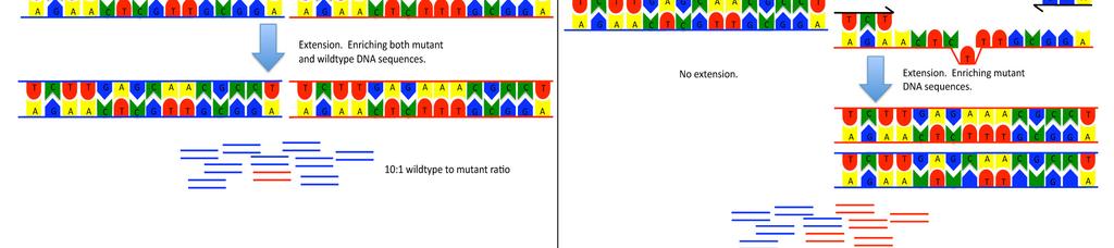 Ingen ekstra kostnader Veldig sensitiv, må optimaliseres < 200bp Forskjellig mutasjoner