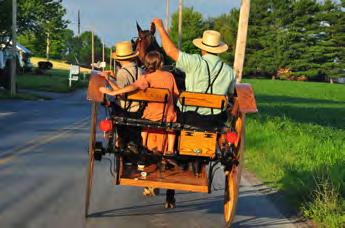 Videre går turen til et typisk Amish-område hvor vi får en rundttur med en lokal guide.