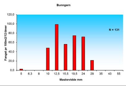 Figur 5. Oppe. Fangst per 100 m 2 for hver maskevidde bunngarn, nede,- kondisjonsfaktoren for lengdeintervallene i fangsten.